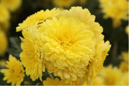 成功上班族女性化妆守则